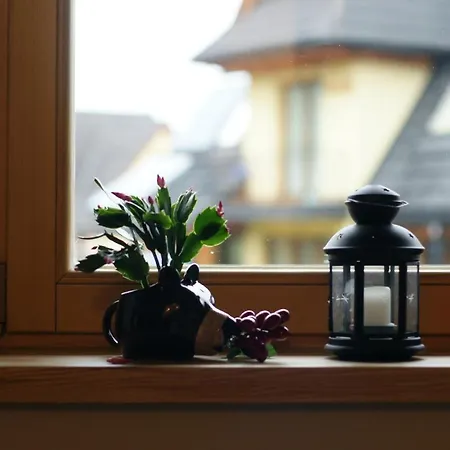 Alpesi faház Nad Potokiem