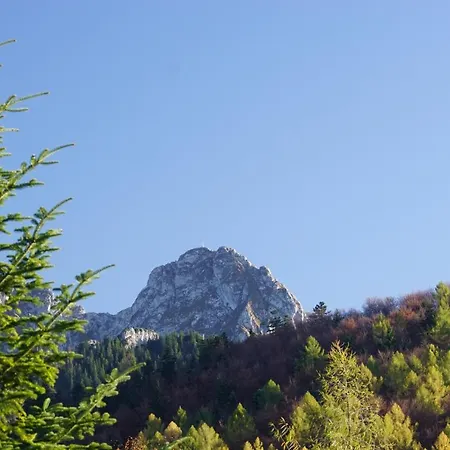 Domek alpejski Nad Potokiem Kościelisko