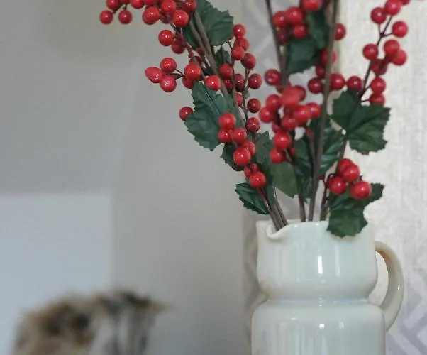 Alpstuga Nad Potokiem *