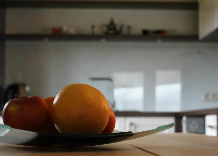 Nad Potokiem Alpstuga